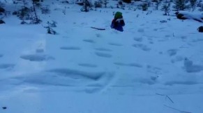 Tracking The Elusive Frozen-Nosed Red-Sledded Yeti