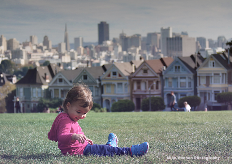 Painted Ladies